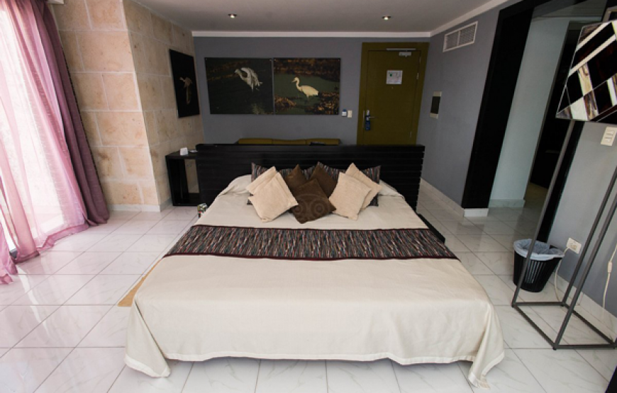 SGL Junior Suite Room