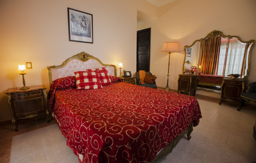 SGL Roc Plus Room